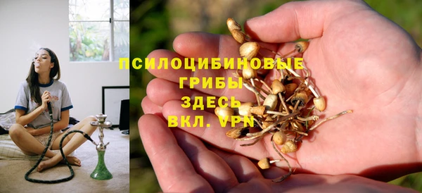 сатива Алексин
