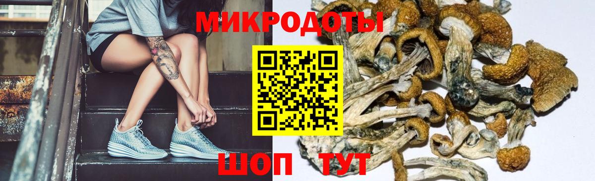 Галлюциногенные грибы Cubensis Старый Оскол